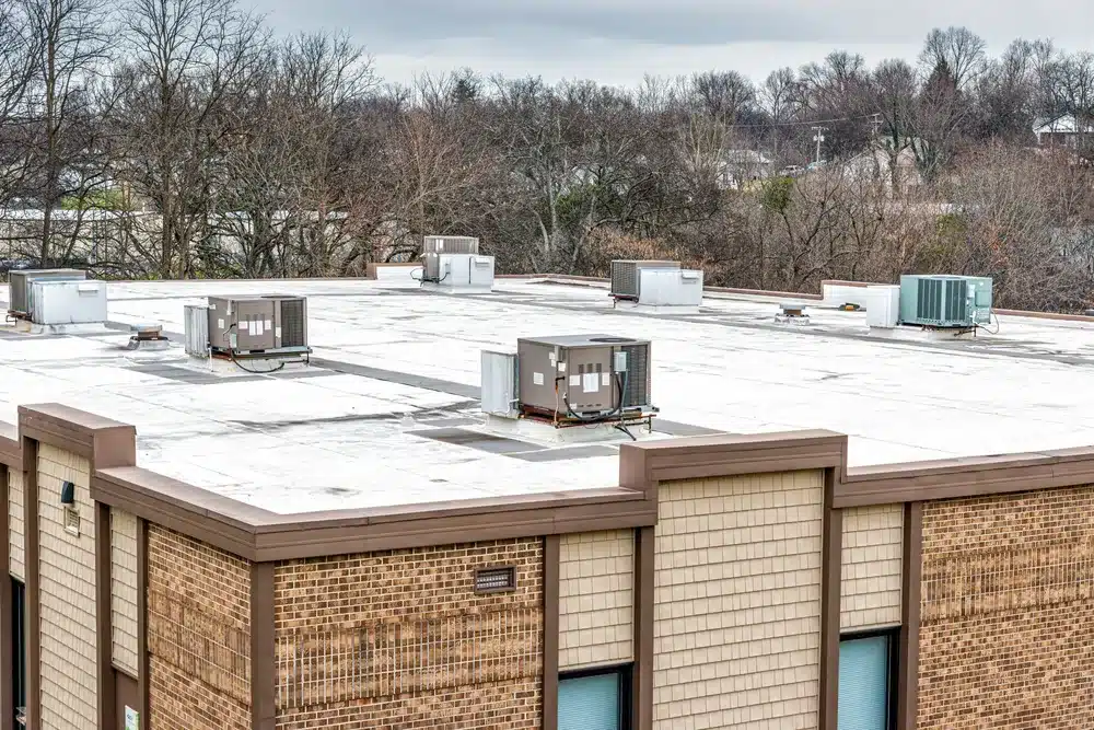 Commercial building roof