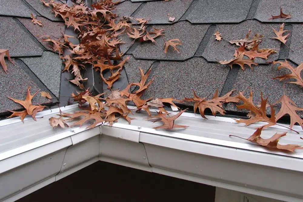 Gutter guard keeping leaves out of a gutter